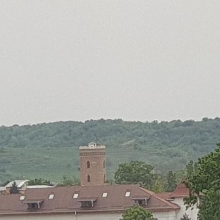 Hellen Apartament Targoviste Buitenkant foto