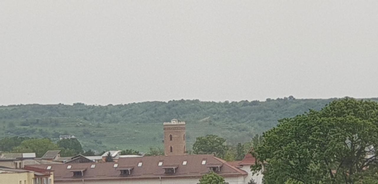 Hellen Apartament Targoviste Buitenkant foto